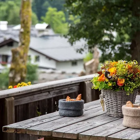 Buccara * קיצביהל