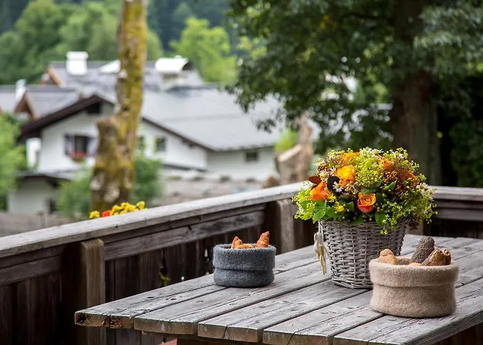 Buccara * 基茨比厄尔