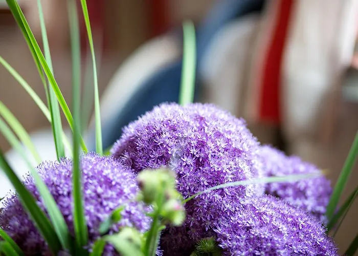 Apartament Buccara *